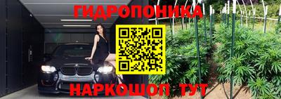 гидра Тулун